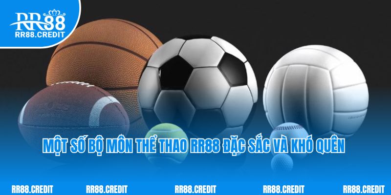 Một số bộ môn thể thao RR88 đặc sắc và khó quên